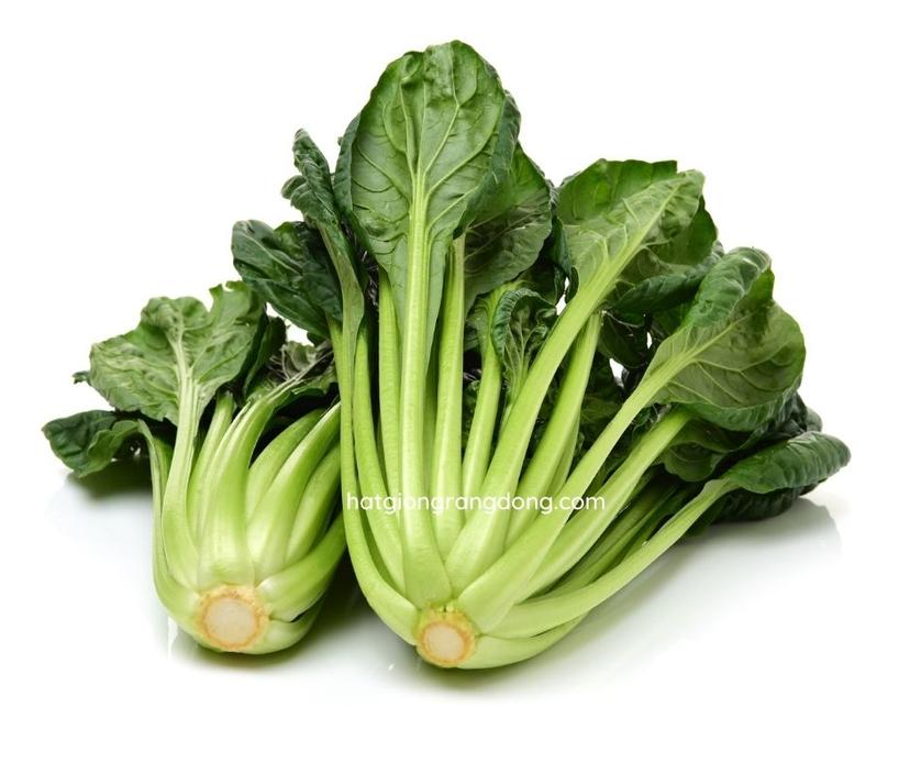 thumb-image