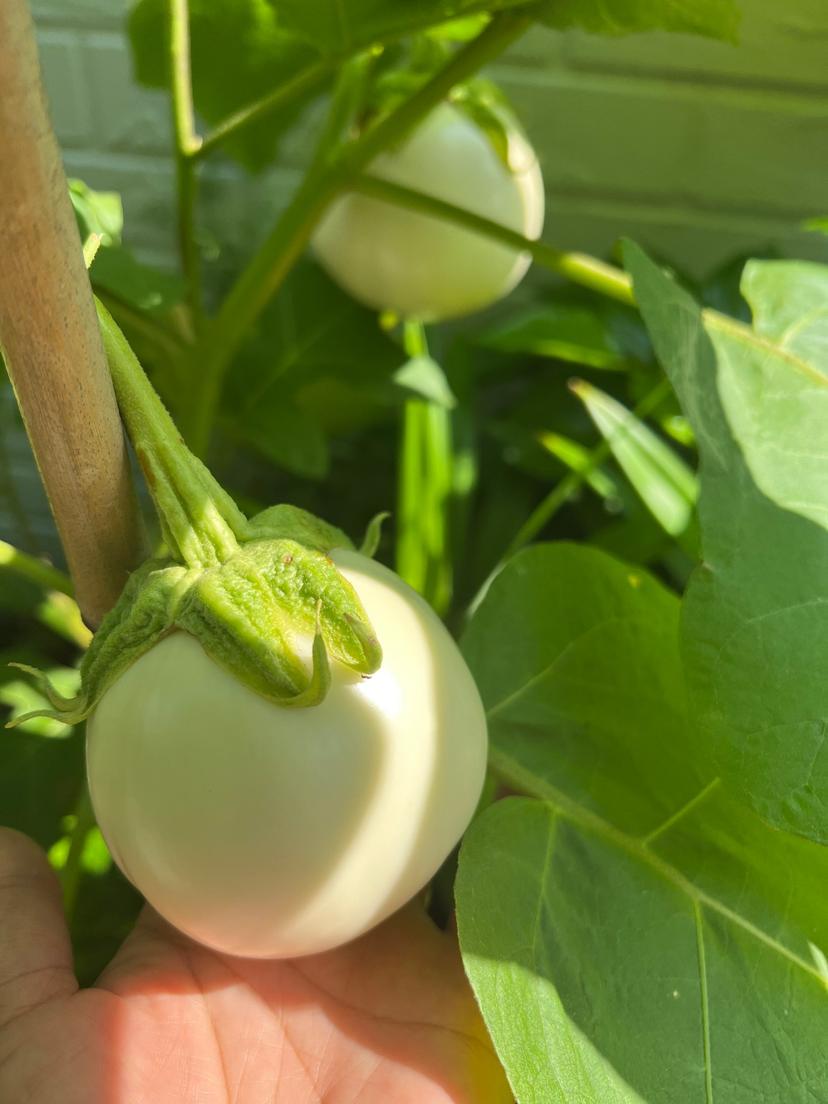 thumb-image