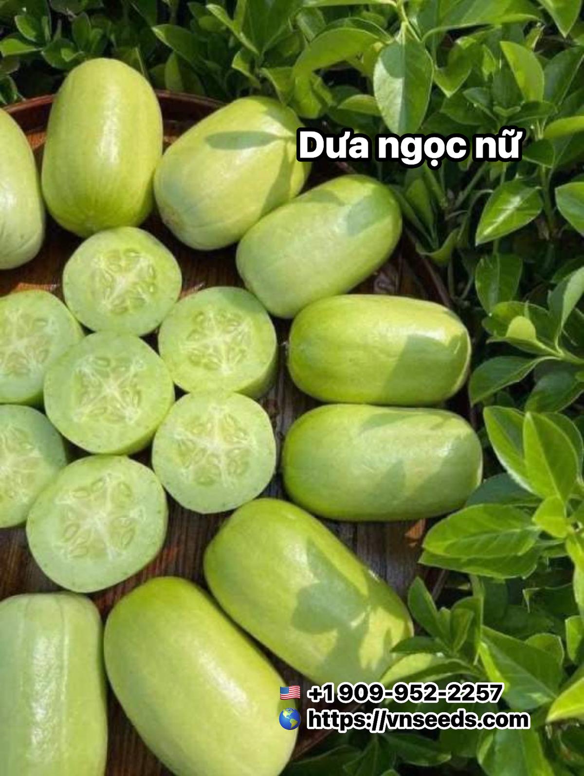 DƯA NGỌC NỮ