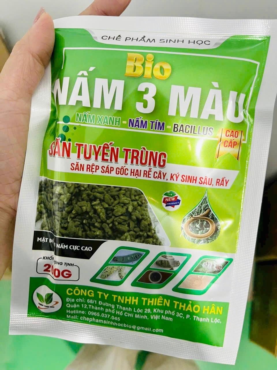 NẤM 3 MÀU