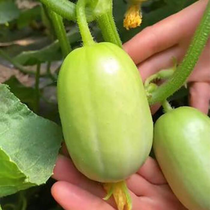 thumb-image